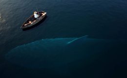 UFO’nun gizemli akrabası: Tanımlanamayan Batık Nesneler!