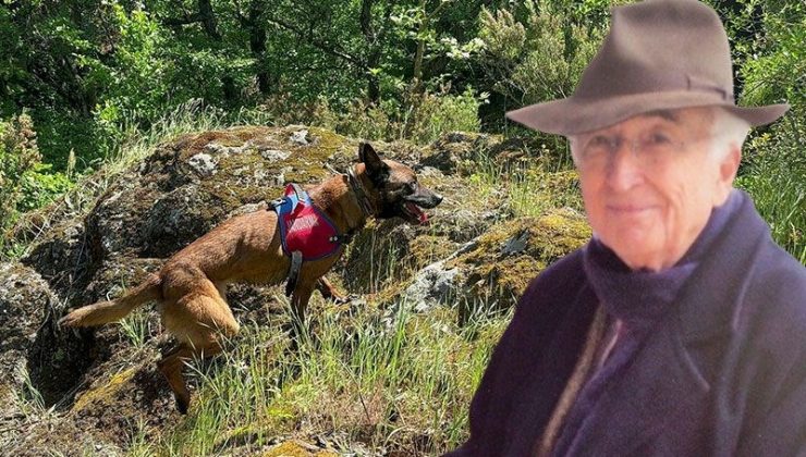 Alan taraması 5’inci günde de devam ediyor: Arama köpeği kafatası parçası buldu
