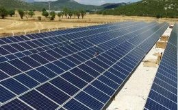 Güneş tarlası vaadiyle vurgun: “Tosuncuk vakasından beter bir durum”