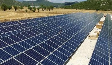 Güneş tarlası vaadiyle vurgun: “Tosuncuk vakasından beter bir durum”