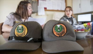 Orman Genel Müdürlüğü engelli ve eski hükümlü statüsünde 68 işçi alacak: (OGM işçi alımı başvuru tarihleri ve şartları)