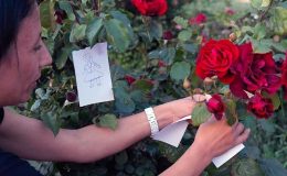 Hıdırellez’de dilek dilerken okunacak dualar hangileri? İşte Hıdırellez dilek ve bereket duası