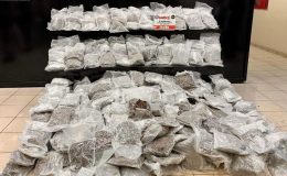 20 ilde uyuşturucu satıcılarına operasyon: 157 kişi yakalandı