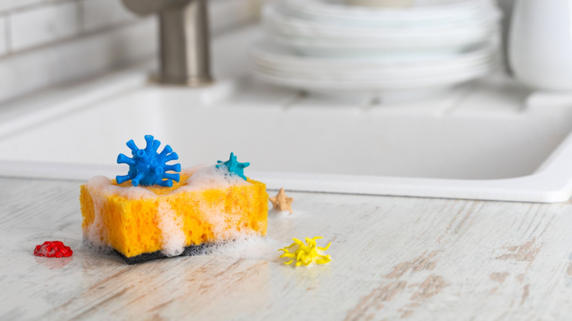 Mutfak süngerlerine dikkat!